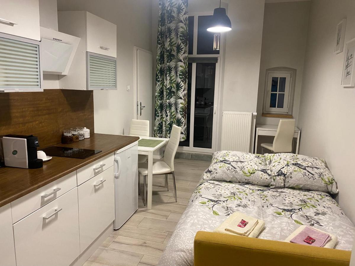 卡托维兹Przytulna Kawalerka Z Balkonem 10Min Pieszo Od Dworca/Galerii公寓 外观 照片